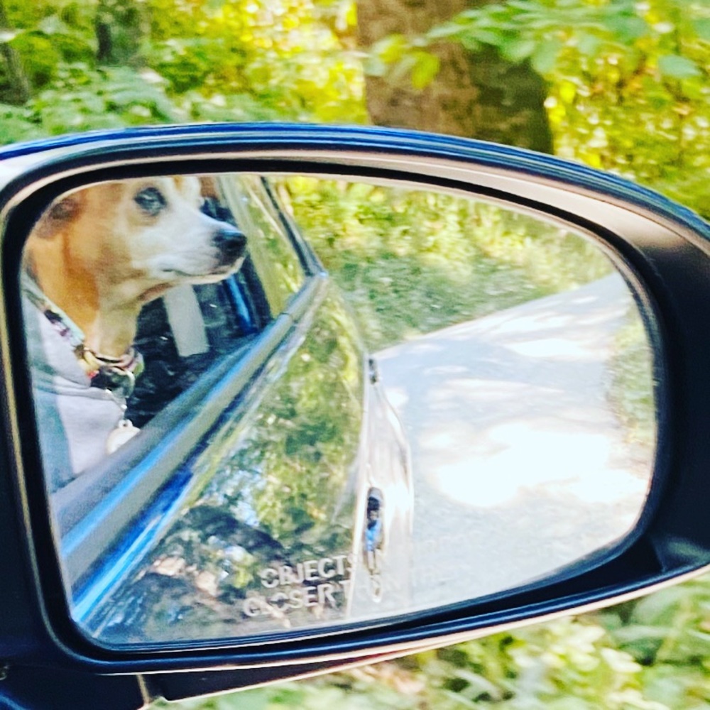 Meet your Posher, Kathy